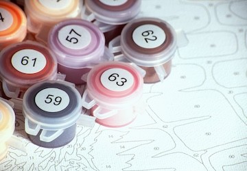 Afbeelding 2_20240820094050147