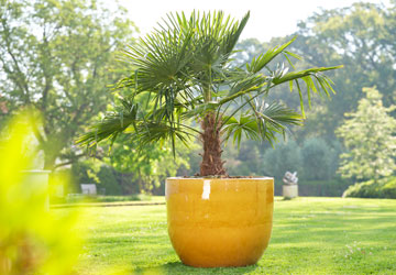 parelmoer-vaas-giftcard_20210407132457