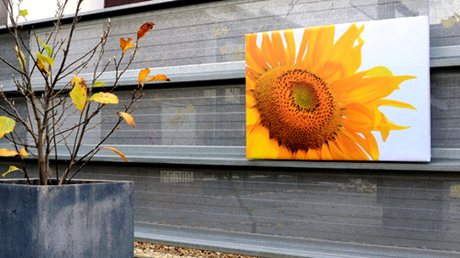 pgimg-4_20160622121047