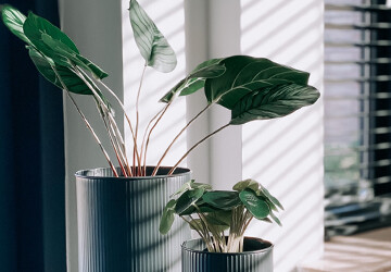 PN WG 250x360 4_20220201142927303