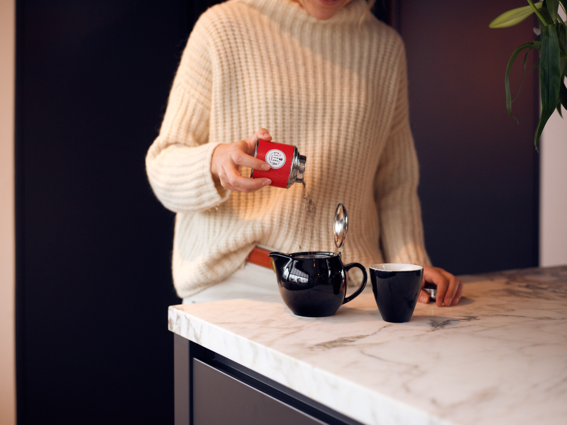 Banner foto_20230307150915495